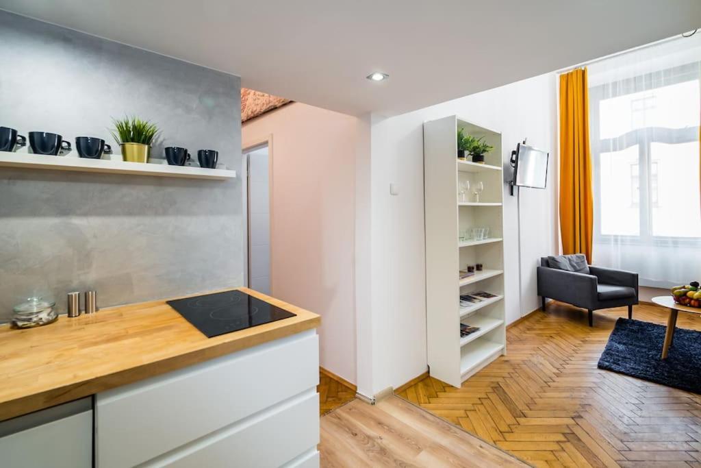 Royal City Apartment 40 M2 Cracovia Exterior foto